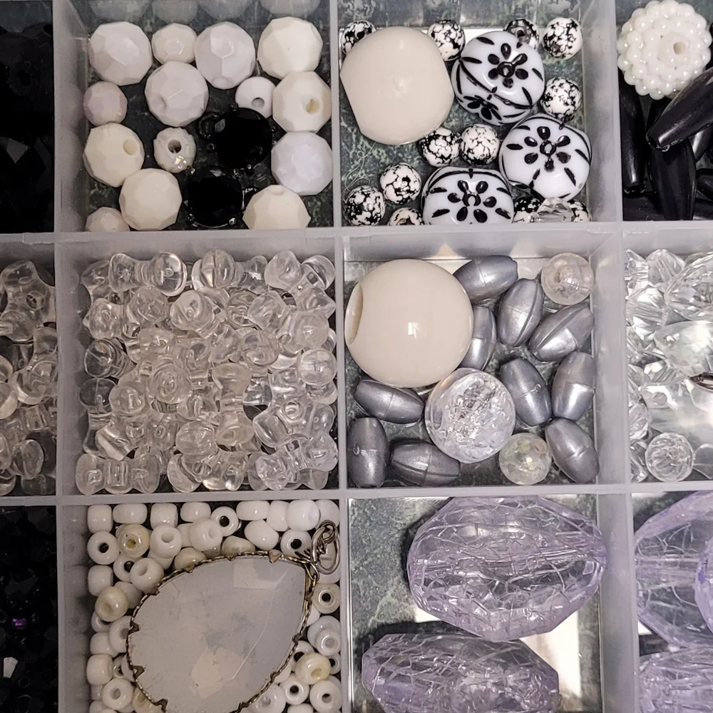 Elegant Bead Organizer with Black and White Accents